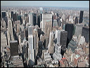 10-nyc
