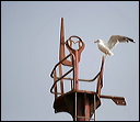 0236-essaouira