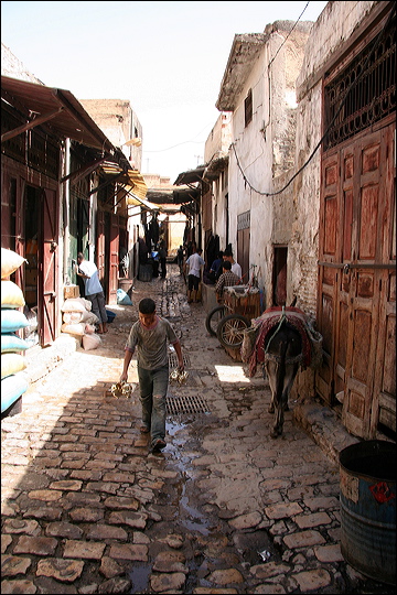 0996-fes.jpg