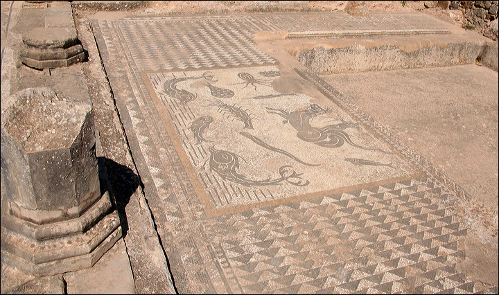 0814-volubilis.jpg
