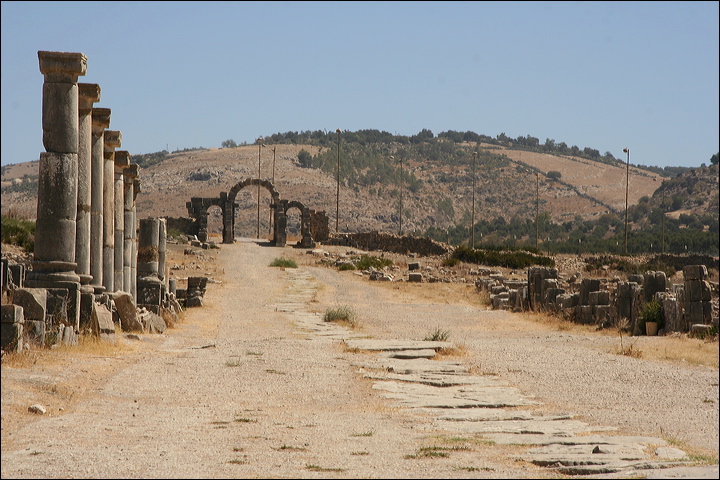 0871-volubilis.jpg