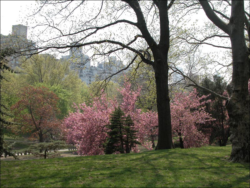 20-nyc.jpg
