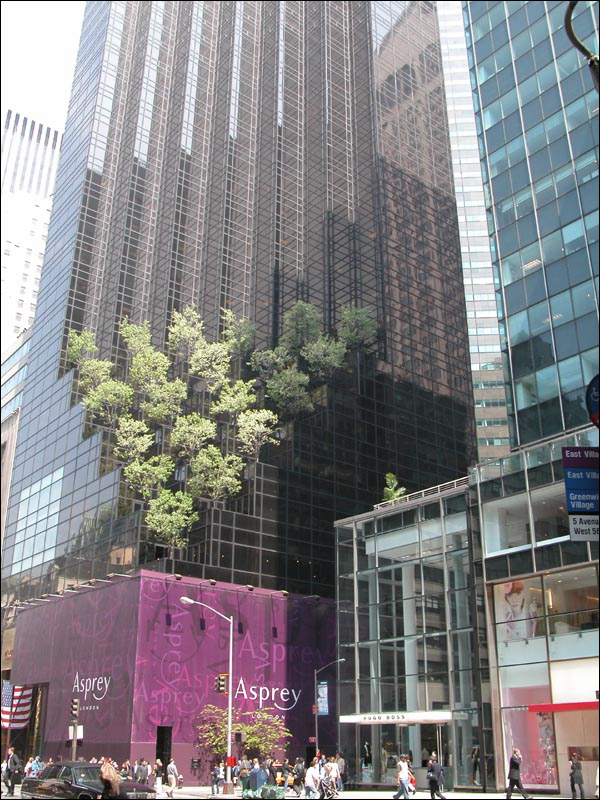 26-nyc.jpg