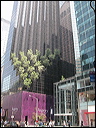 26-nyc