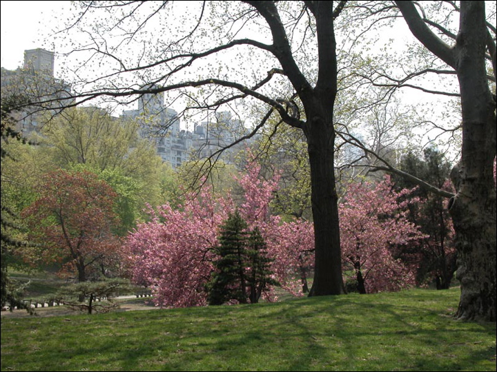 20-nyc.jpg