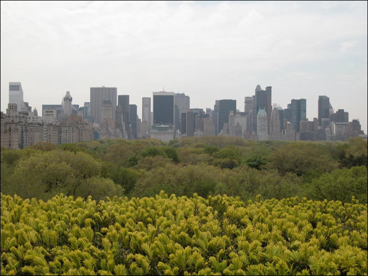 63-nyc.jpg