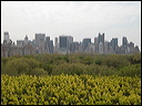 63-nyc